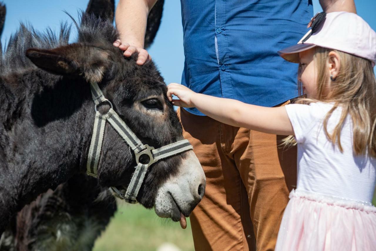 Residence Safari Resort - Bison Lodge Borovany  Экстерьер фото